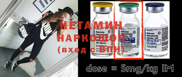 хмурый Магас