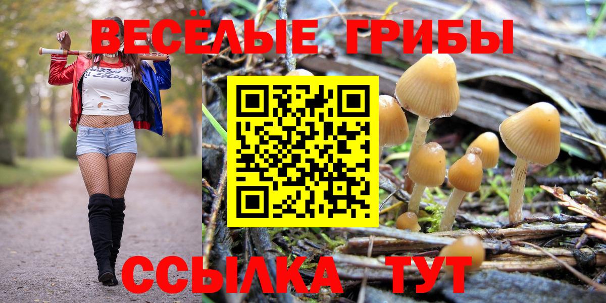 Псилоцибиновые грибы Magic Shrooms Зеленогорск