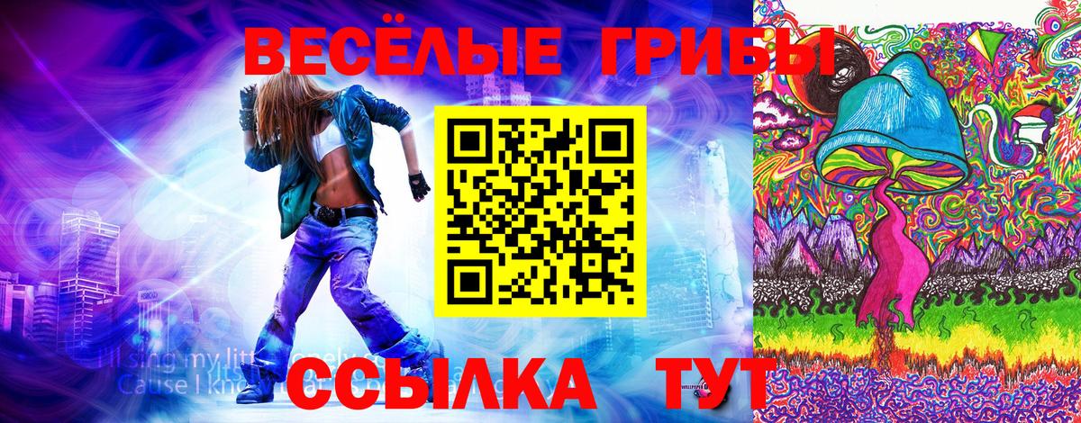Зеленогорск  Галлюциногенные грибы MAGIC MUSHROOMS  Вход с VPN  Галлюциногенные грибы прущие грибы 