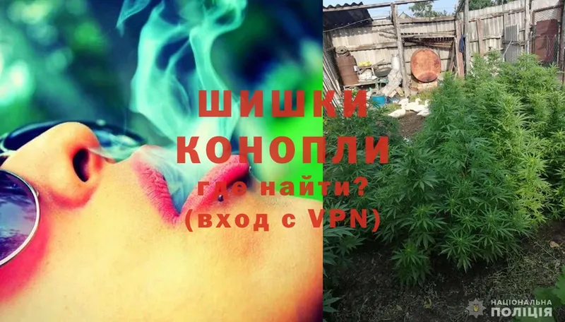 купить наркотик  Зеленогорск  kraken как зайти  Канабис LSD WEED 