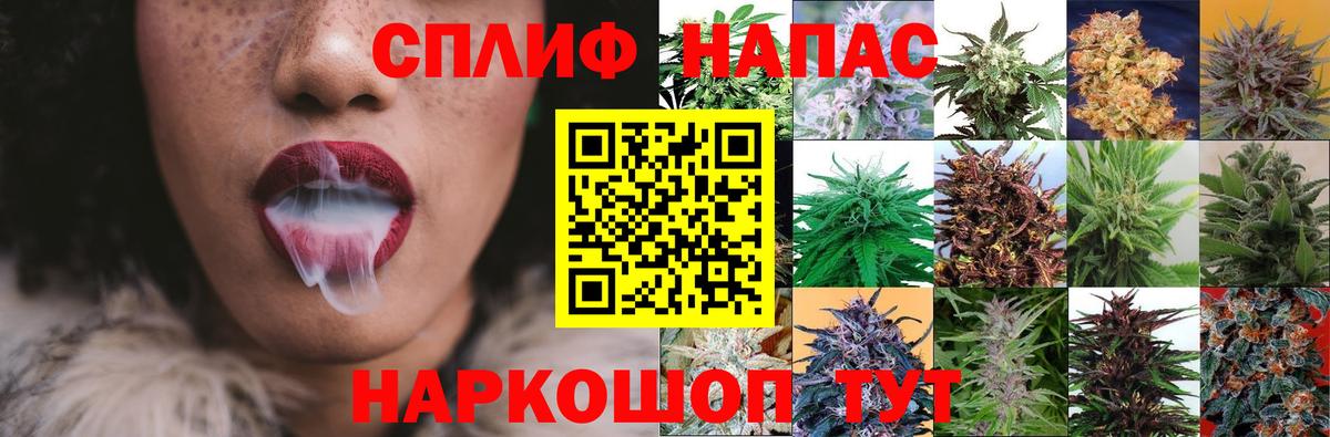 Марихуана тримм  Конопля тримм  Вход с VPN  Конопля индика  Зеленогорск  Бошки марихуана сатива 